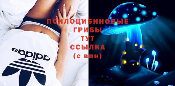 крисы Нефтегорск