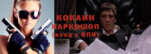 трава Билибино