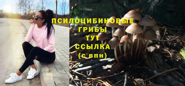 альфа пвп Новодвинск