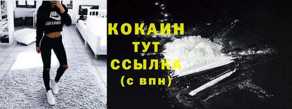 мет Новозыбков