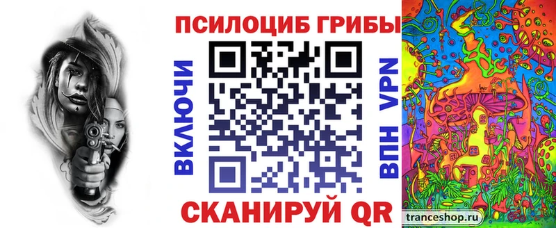 сколько стоит  Сальск  Галлюциногенные грибы мицелий 