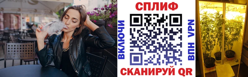 Бошки Шишки THC 21%  где найти наркотики  Сальск 